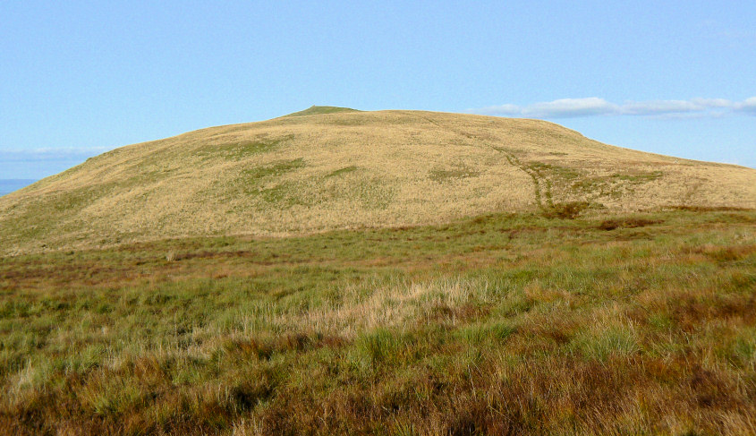 Common Fell Common Fell